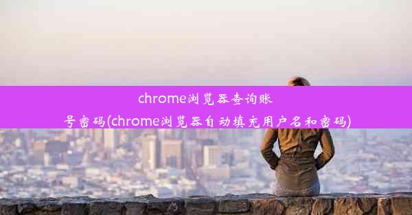 chrome浏览器查询账号密码(chrome浏览器自动填充用户名和密码)