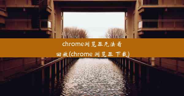 chrome浏览器无法看回放(chrome 浏览器 下载)