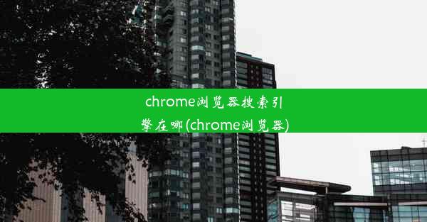 chrome浏览器搜索引擎在哪(chrome浏览器)