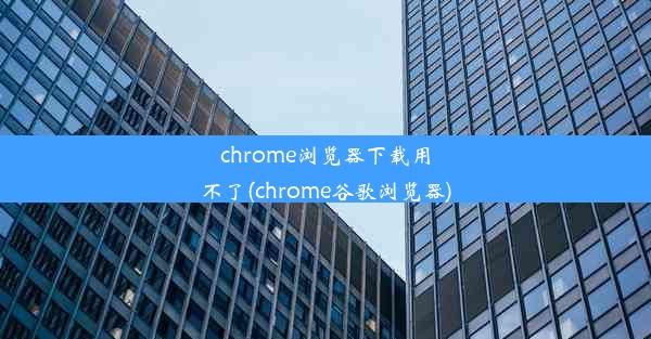 chrome浏览器下载用不了(chrome谷歌浏览器)