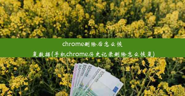 chrome删除后怎么恢复数据(手机chrome历史记录删除怎么恢复)