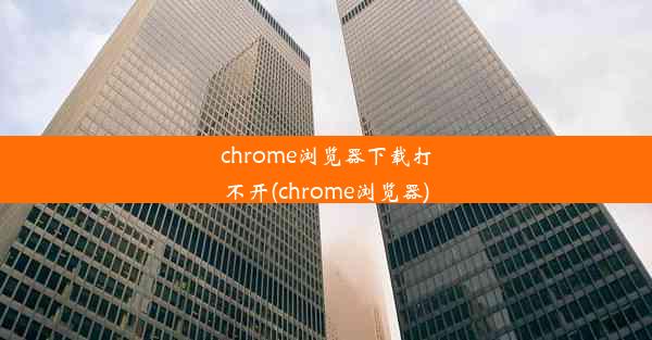 chrome浏览器下载打不开(chrome浏览器)