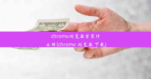 chrome浏览器首页什么样(chrome 浏览器 下载)