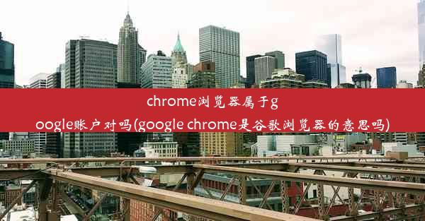 chrome浏览器属于google账户对吗(google chrome是谷歌浏览器的意思吗)