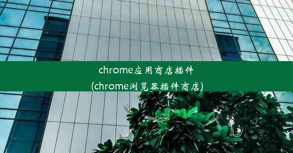 chrome应用商店插件(chrome浏览器插件商店)