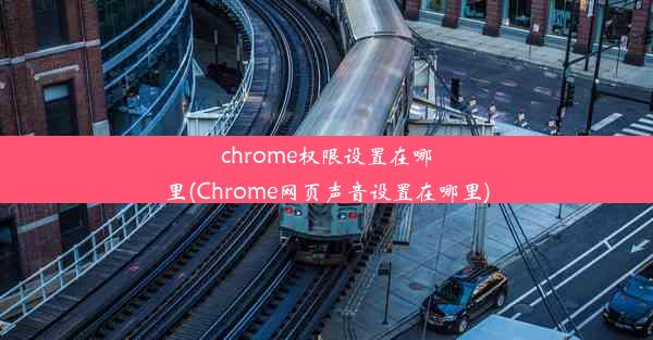 chrome权限设置在哪里(Chrome网页声音设置在哪里)