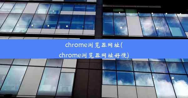 chrome浏览器网址(chrome浏览器网址好慢)