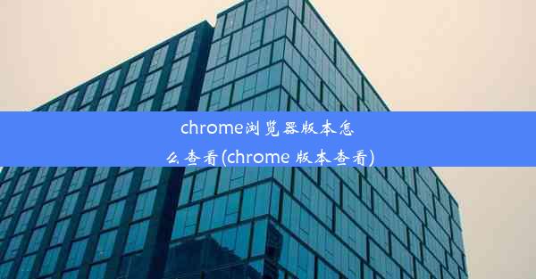 chrome浏览器版本怎么查看(chrome 版本查看)